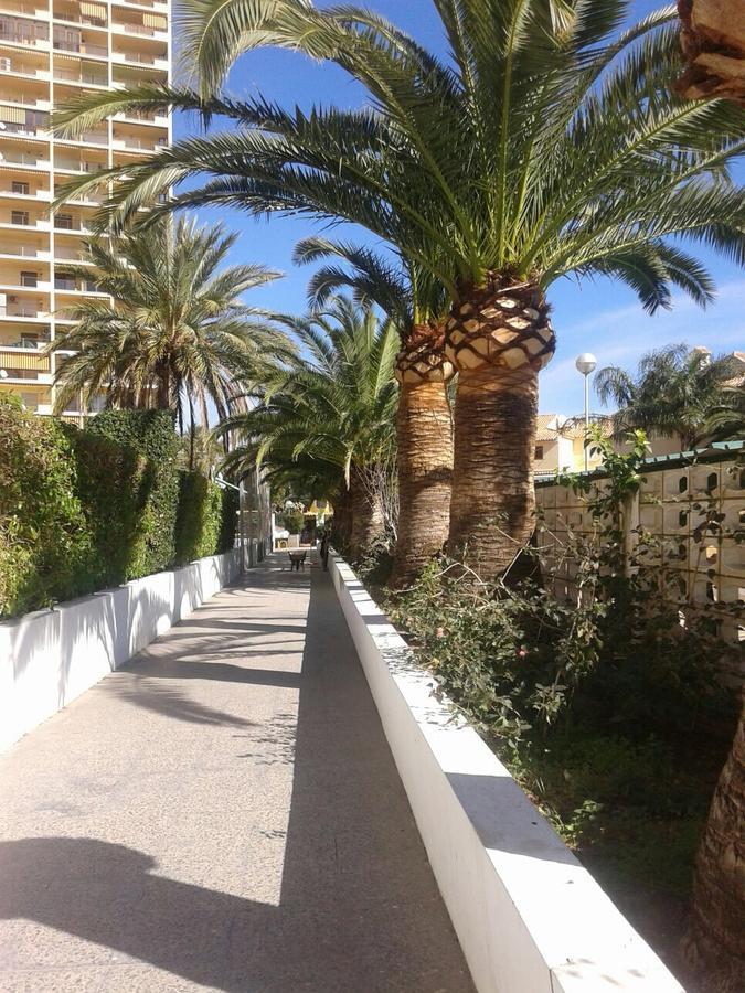 Apartamento Puigval Экстерьер фото
